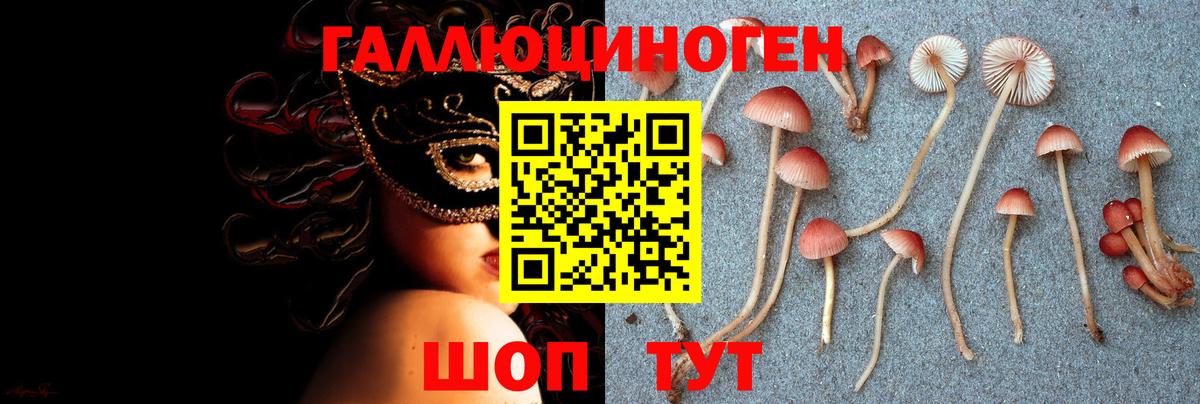Скопин  Галлюциногенные грибы ЛСД  Вход с VPN  Галлюциногенные грибы ЛСД 